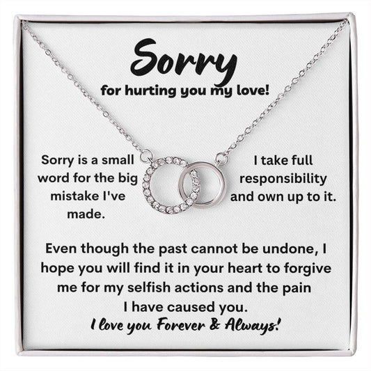 Sorry For Hurting You Perfect Pair Necklace